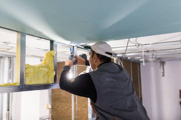 Best Insulation Contractors for Homes  in Flomaton, AL