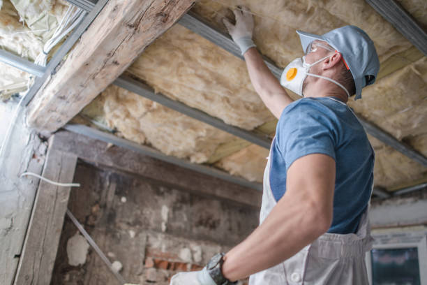Best Insulation Removal  in Flomaton, AL