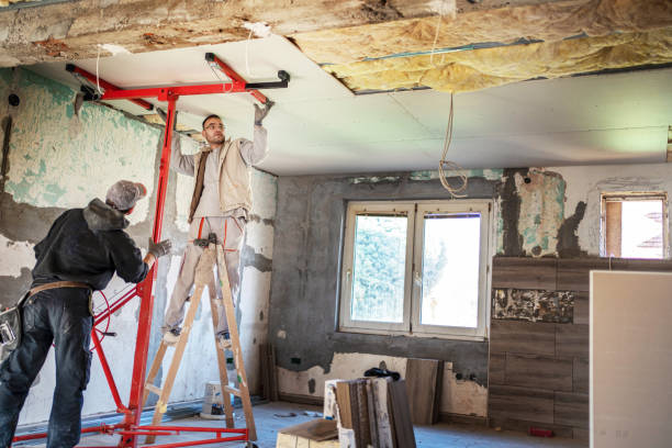 Insulation Replacement Services in Flomaton, AL