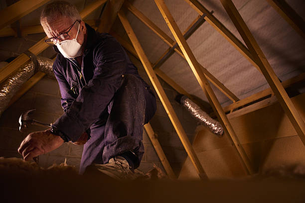 Best Attic Insulation Installation  in Flomaton, AL